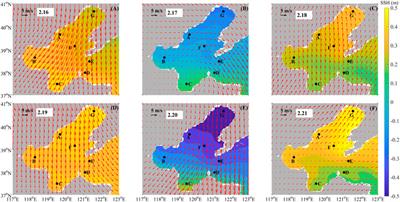 Winter and summer sedimentary dynamic process observations in the sea area off Qinhuangdao in the Bohai Sea, China